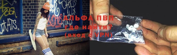 стафф Аркадак