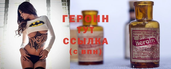 гидра Арсеньев