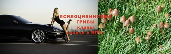 стафф Аркадак