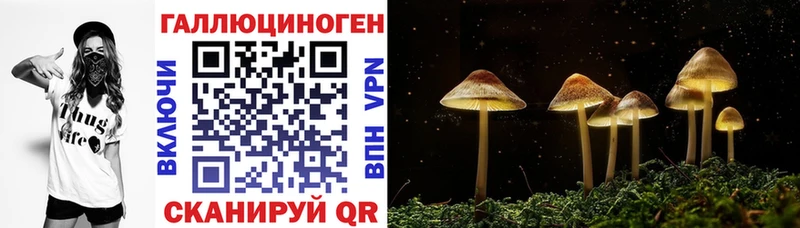Псилоцибиновые грибы мухоморы  hydra сайт  Кола 